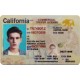 Fake California CDL Fake California CDL