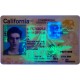 Fake California CDL Fake California CDL