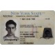 Fake New York CDL Fake New York CDL