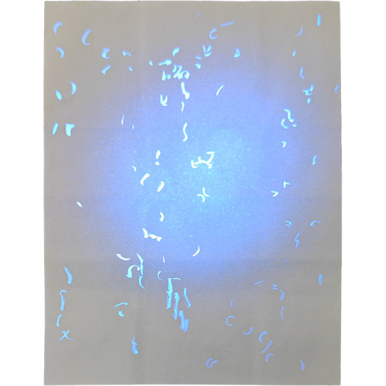 US IOWA Birth Certificate