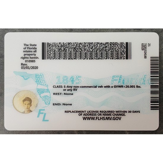 And you need Florida Fake IDS to enjoy the nightlife on this continent. Florida Fake IDS,best fake id