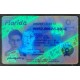 And you need Florida Fake IDS to enjoy the nightlife on this continent. Florida Fake IDS,best fake id