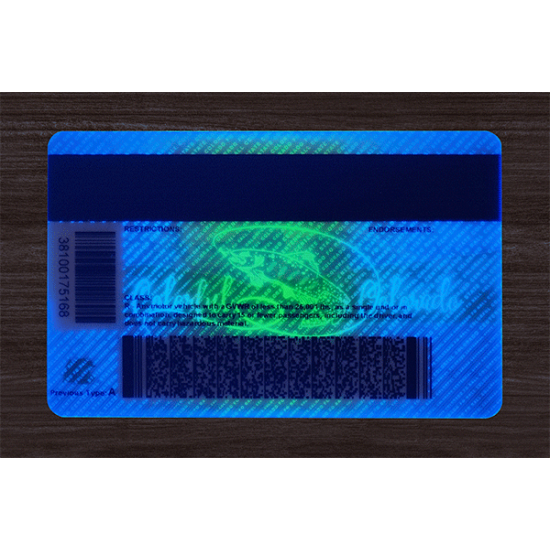 COLORADO FAKE DRIVER LICENSE