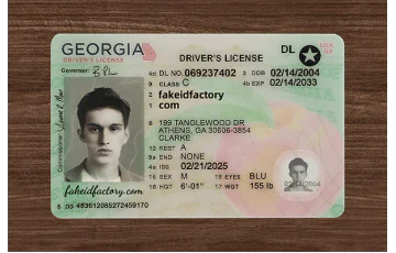 Georgia Fake ID (2025 version)