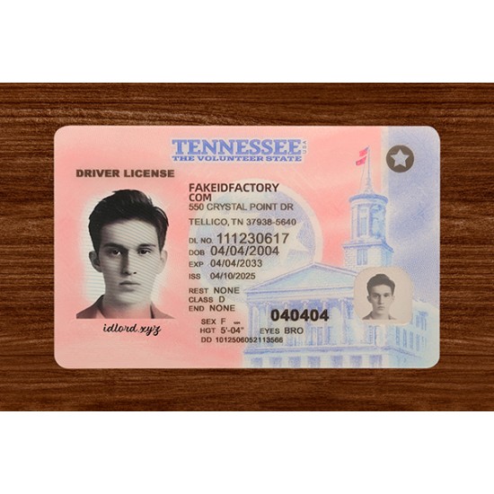 TENNESSEE FAKE ID (2025 Version)