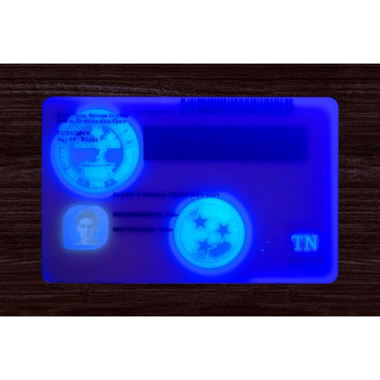 TENNESSEE FAKE ID (2025 Version)