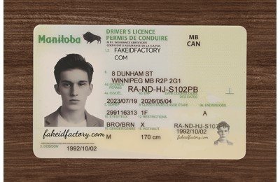 MANITOBA FAKE ID (2026 Version)