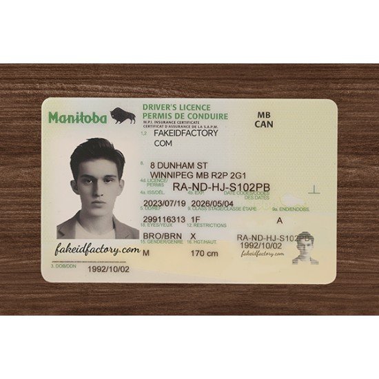 MANITOBA FAKE ID (2026 Version)