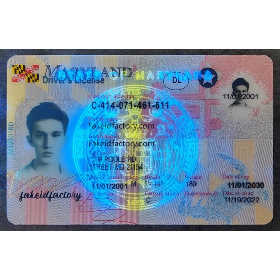 Our maryland fake id card can pass scanner detection. how to get a fake id,maryland id card fake