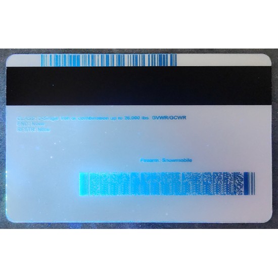 Get a free duplicate with the purchase of a Minnesota Fake ID. fake minnesota id,Scannable Driver Cards