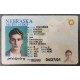 Nebraska Fake IDs are produced by making special inks. fake nebraska id,fake ids for sale