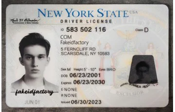 New York Fake ID