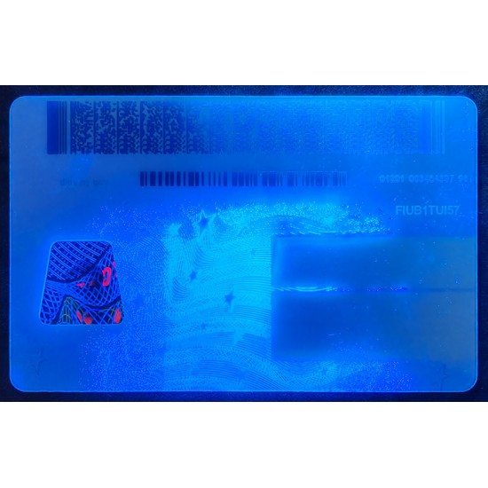 Our New York Fake ID offers full customization. fake new york state id,fake nyc id