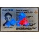 Quebec Fake ID can be customized with your images and information quebec id,fake real id