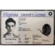 Premium quality Virginia Fake ID that passes every test. fake ids virginia,enhanced driver's license