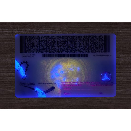 WISCONSIN FAKE ID (2026 version)