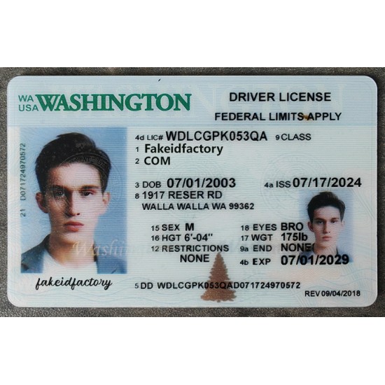 Our washington fake id is indistinguishable from the real thing. washington fake ids,driver's license