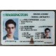 Our washington fake id is indistinguishable from the real thing. washington fake ids,driver's license