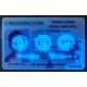 Our washington fake id is indistinguishable from the real thing. washington fake ids,driver's license
