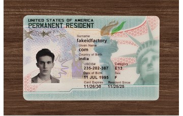 American Green Card(2025 version)